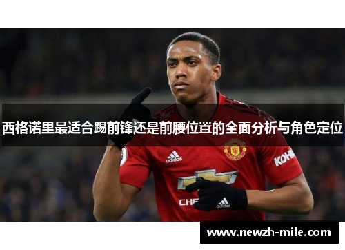 西格诺里最适合踢前锋还是前腰位置的全面分析与角色定位