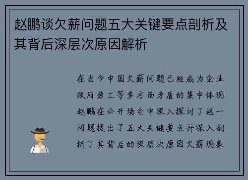 赵鹏谈欠薪问题五大关键要点剖析及其背后深层次原因解析