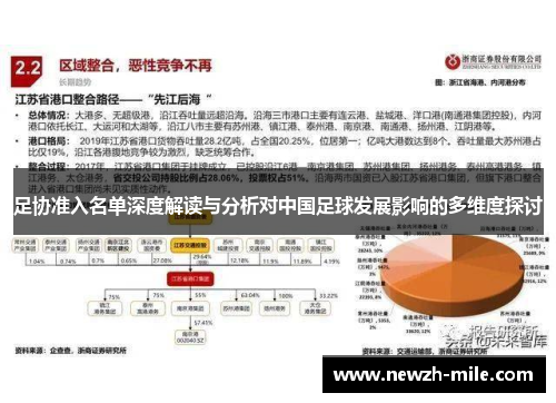 足协准入名单深度解读与分析对中国足球发展影响的多维度探讨