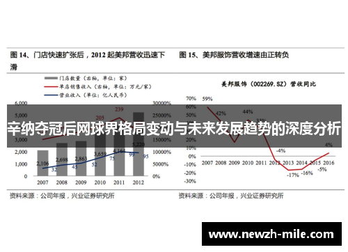 辛纳夺冠后网球界格局变动与未来发展趋势的深度分析 辛纳夺冠后网球界格局变动与未来发展趋势的深度分析