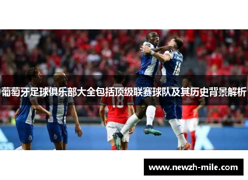 葡萄牙足球俱乐部大全包括顶级联赛球队及其历史背景解析
