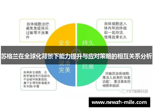 苏格兰在全球化背景下能力提升与应对策略的相互关系分析