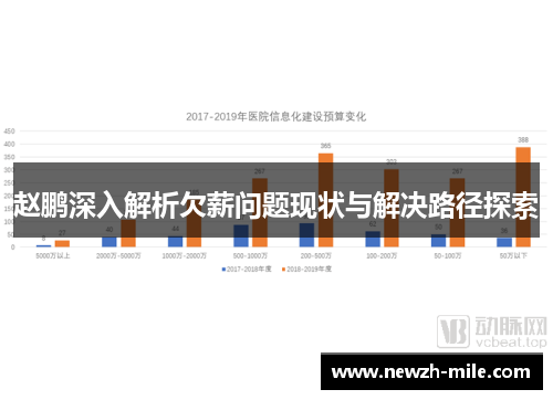 赵鹏深入解析欠薪问题现状与解决路径探索