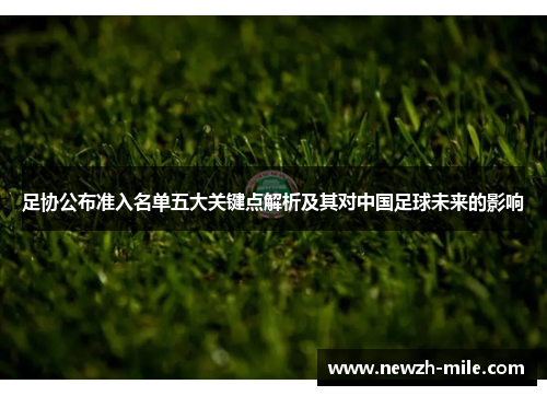足协公布准入名单五大关键点解析及其对中国足球未来的影响 足协公布准入名单五大关键点解析及其对中国足球未来的影响