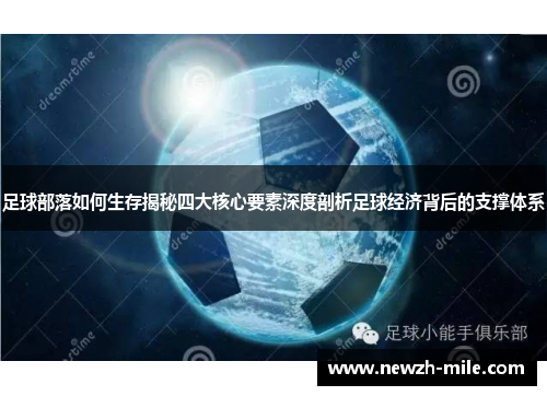足球部落如何生存揭秘四大核心要素深度剖析足球经济背后的支撑体系 足球部落如何生存揭秘四大核心要素深度剖析足球经济背后的支撑体系
